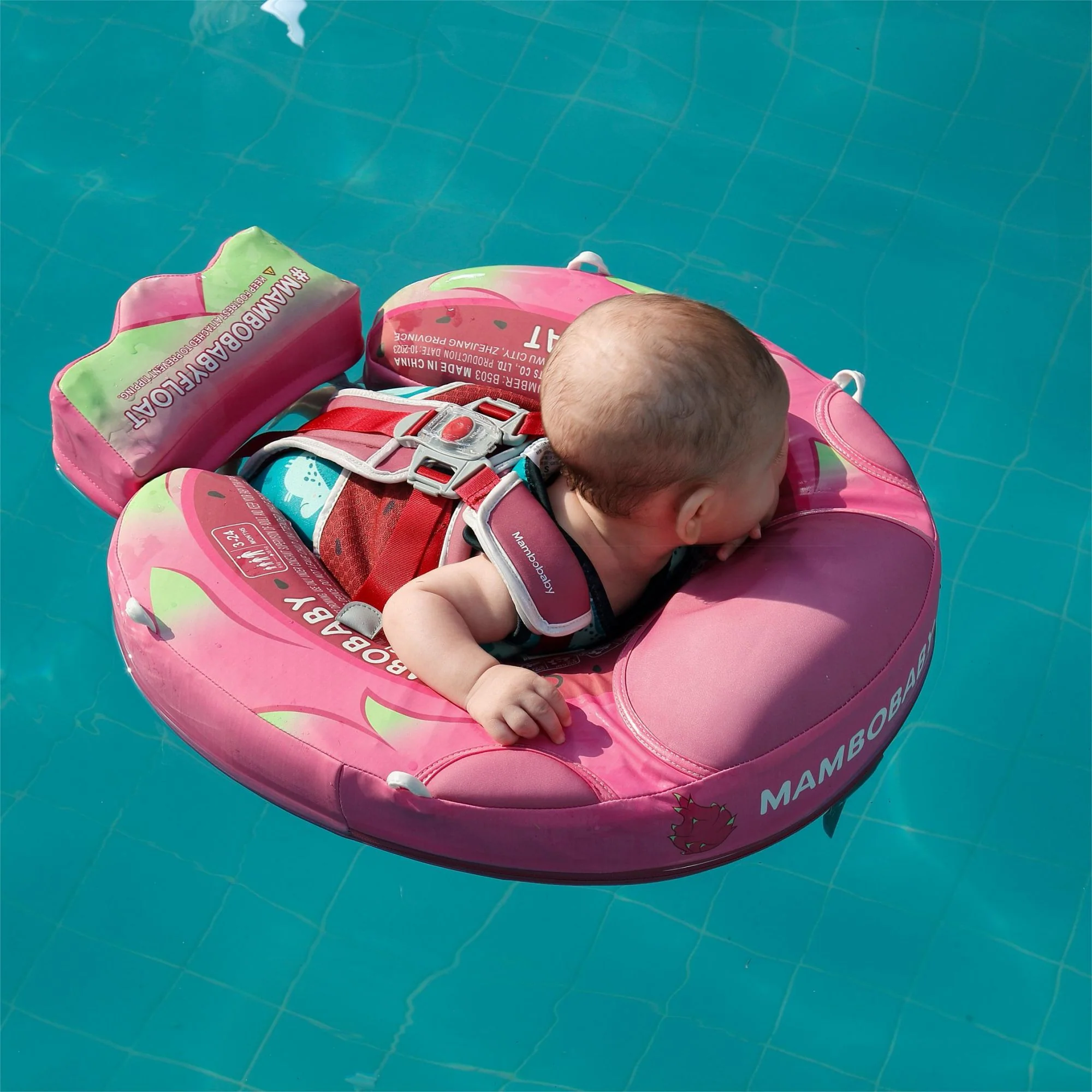 Mambobaby Float Dragon Fruit - Image 6