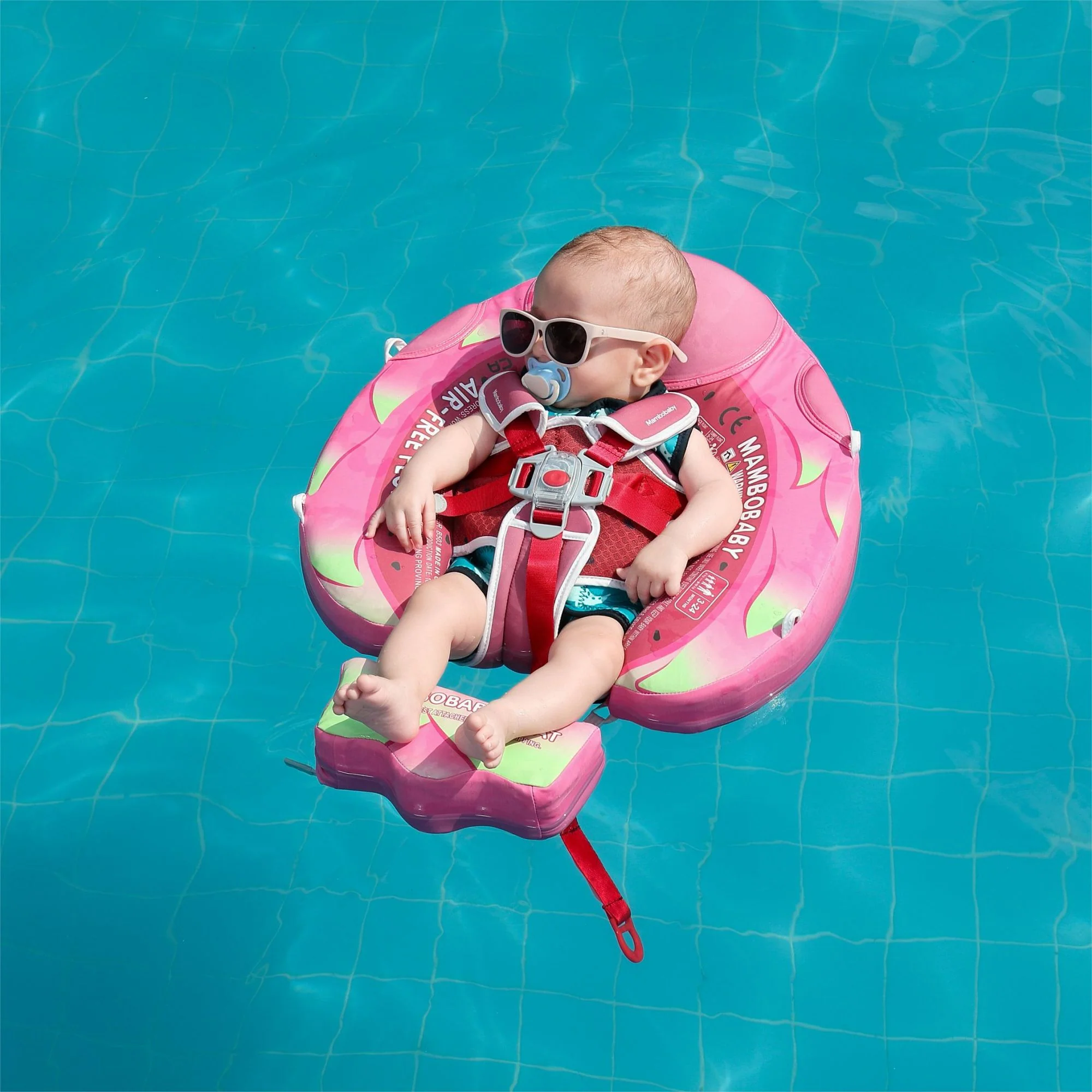Mambobaby Float Dragon Fruit - Image 7